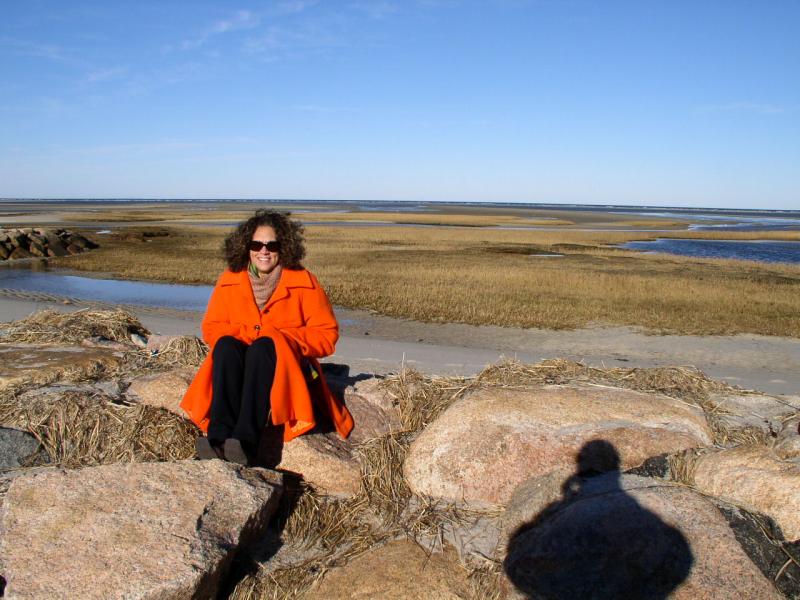 Cape Cod Jan. 2007